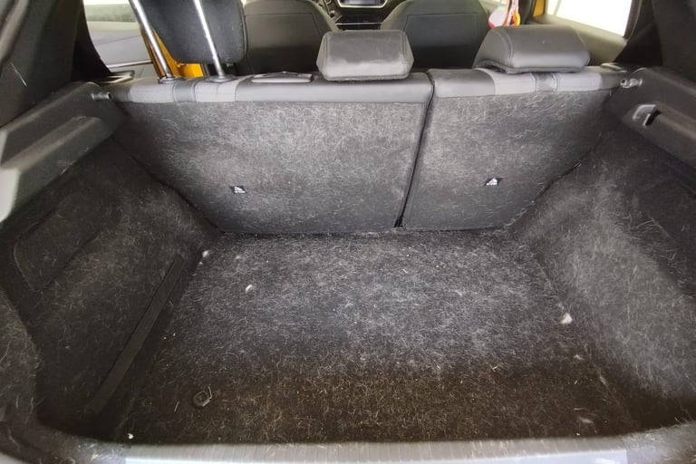 Poils d'animaux voiture nettoyage avant 