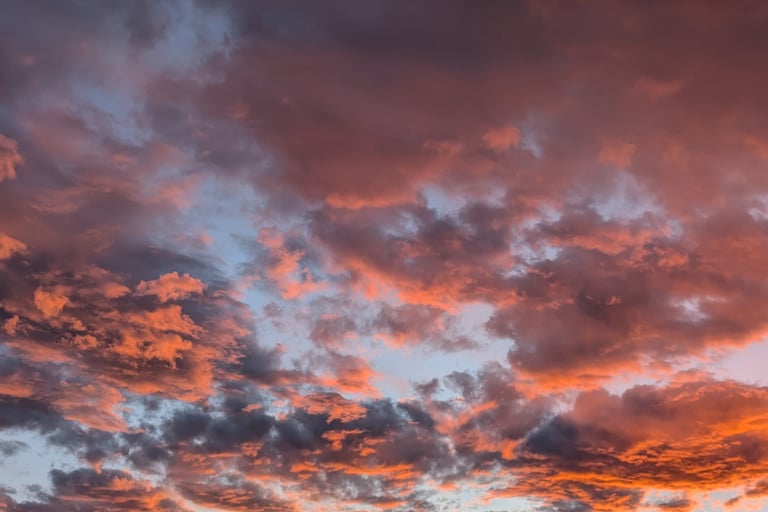 Sunset @ Hammond Farm - Mar 25, 2025 - Casey Grace