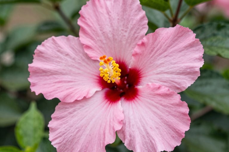 Bright living room with modern inventory