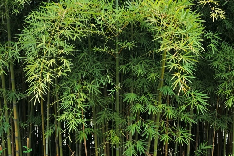 Bright living room with modern inventory