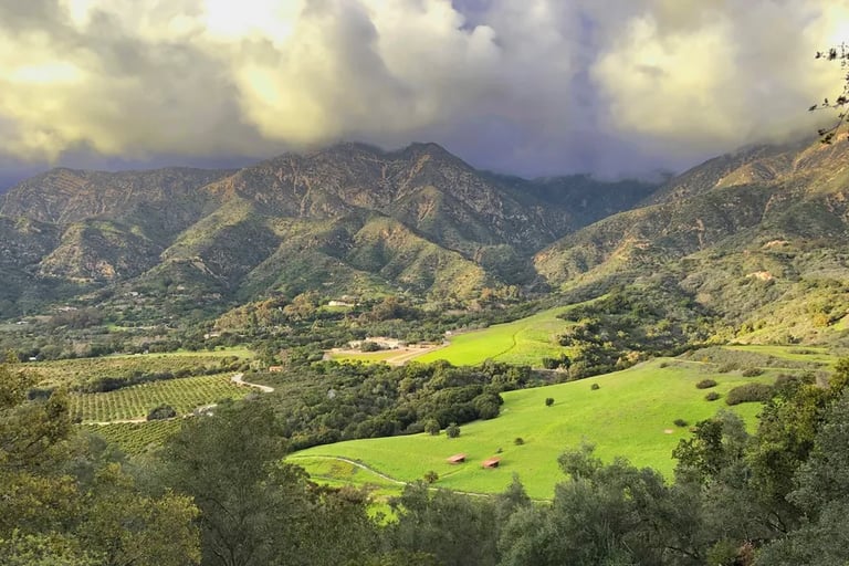 Beautiful green pasture in Santa Barbara.