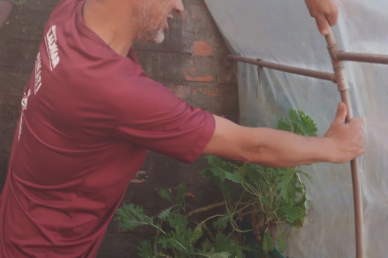 Foto minha dentro da estufa da horta