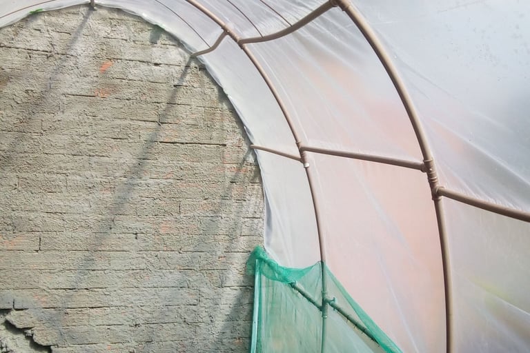 Foto real da estufa pronta arcos de pvc e plastico