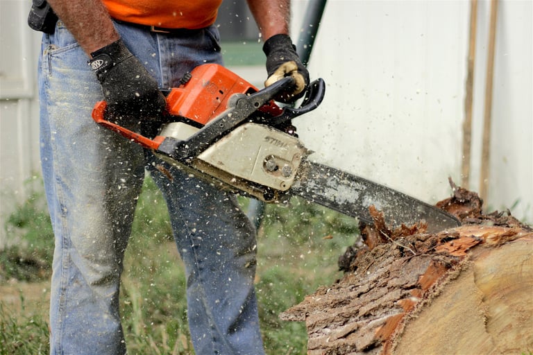 Tree cutting and chainsaw maintenance Work Bridgwater Somerset UK