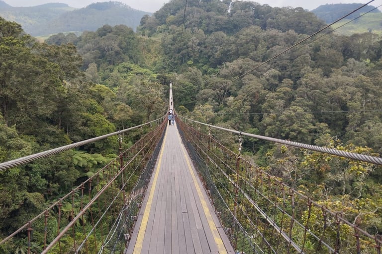 suspension bridge rengganis bandung