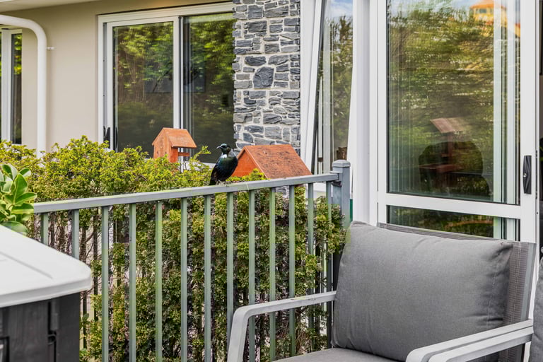 Tui are constant visitors