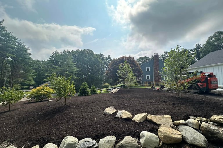 Professional landscaping with dark brown mulch, rock border, and young trees in front of a blue house.