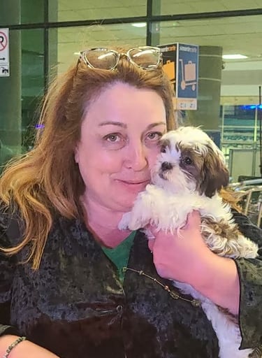 Female Mal-Shi Puppy with woman in black shirt