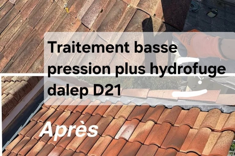 Nettoyage d'une toiture en tuiles en terre cuite
