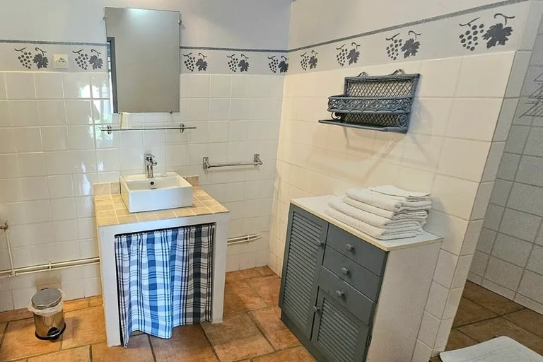 Salle d'eau "la ramade" de la chambre romarin avec wc,  vasque et douche à l'italienne