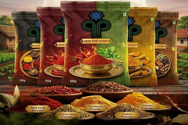 Masala Packing Pouches by Sk Agro Foodtech Pvt Ltd