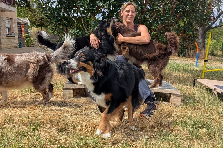 comportementaliste chien Nancy