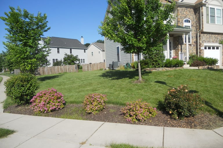 "Before" Photo of Another T&L Mulch Project