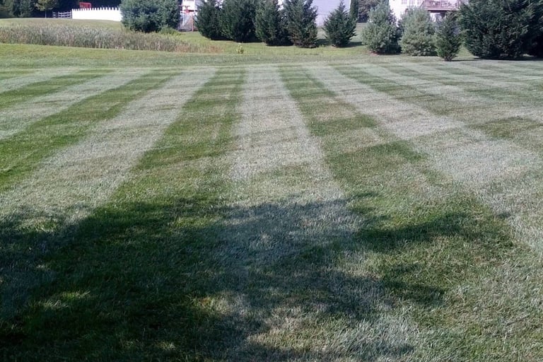 T&L Lawn Care, Grass Cutting Cross Striped
