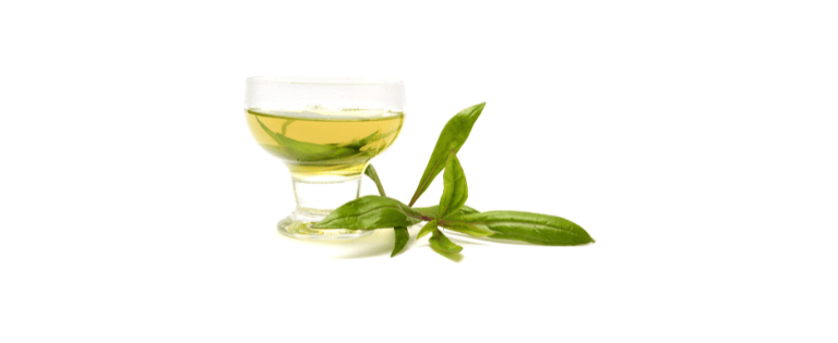 a glass of wine with a green leafy branch