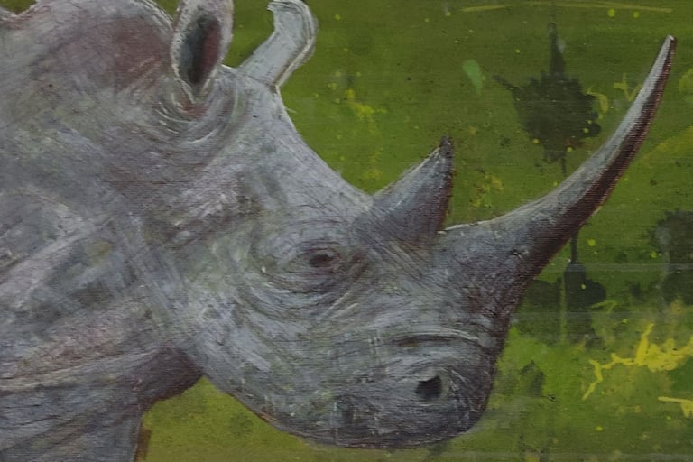 a rhinocerus