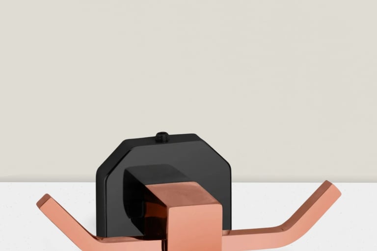 Dual point stainless steel Hook