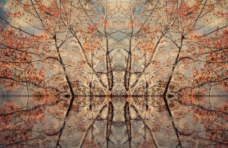 Photo Montage of an illusional island and trees with reflections in the water