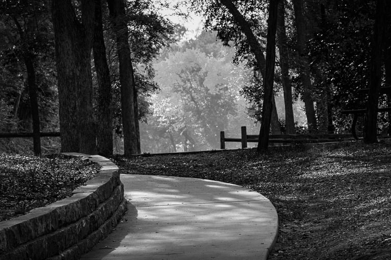 Light and shadow along a walk-in-the-park Chandler Park Georgetown Tx