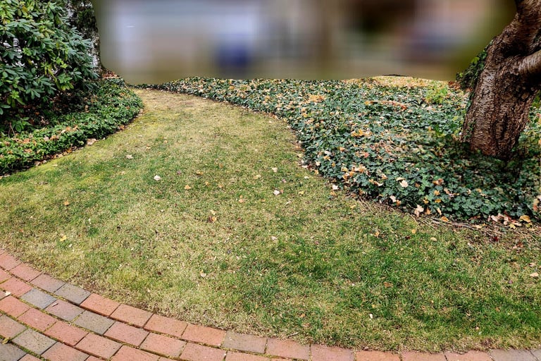 Leaf Cleanup, Spring Cleanup