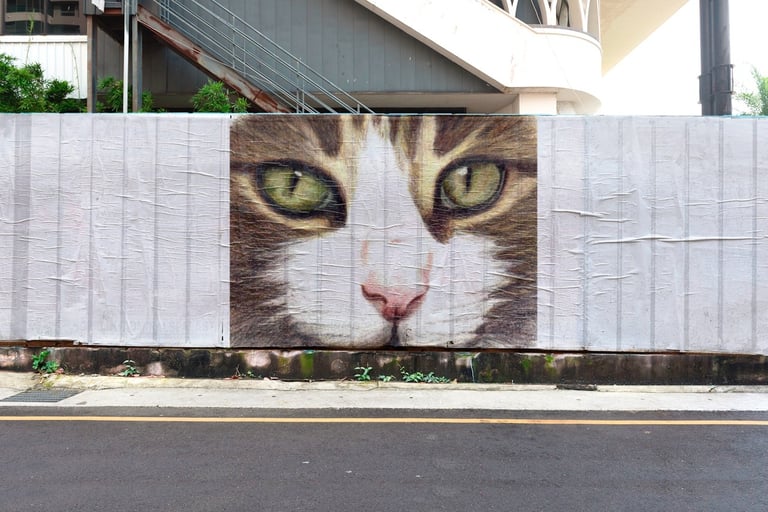 portrait de chat au crayon de couleur appliqué à une cloture