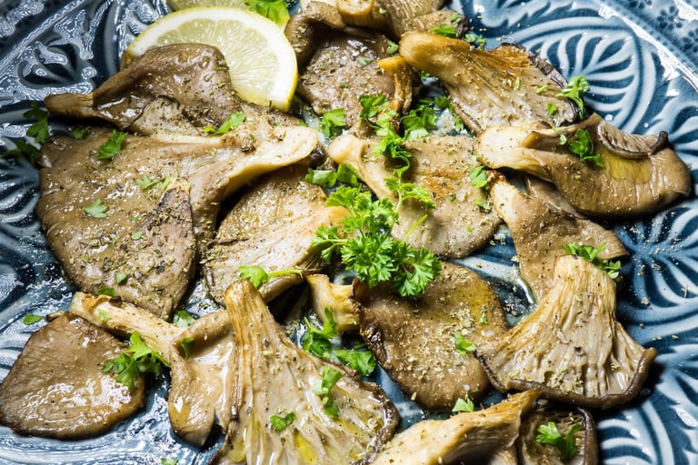 funghi ostrica cuneo