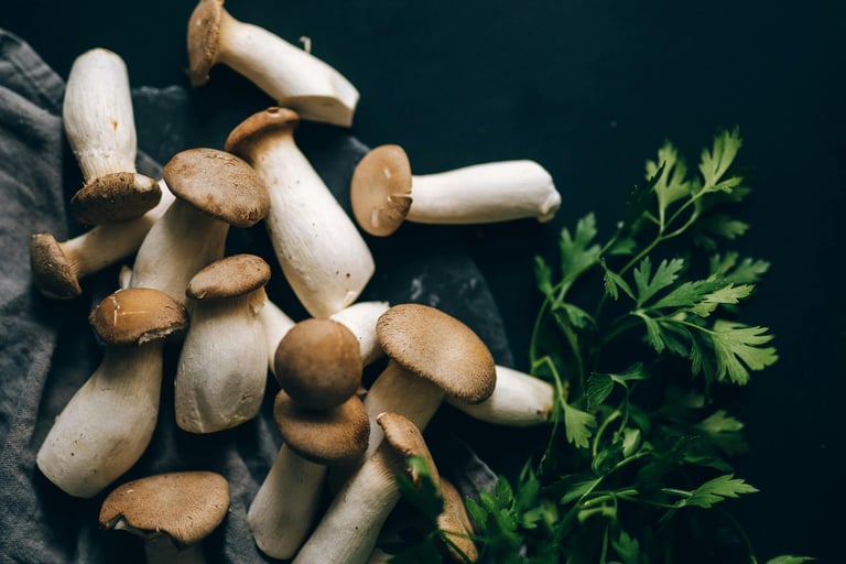 Il fungo Cardoncello italia