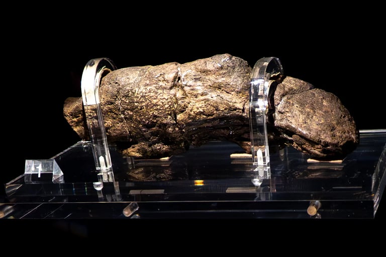 A fossil poo