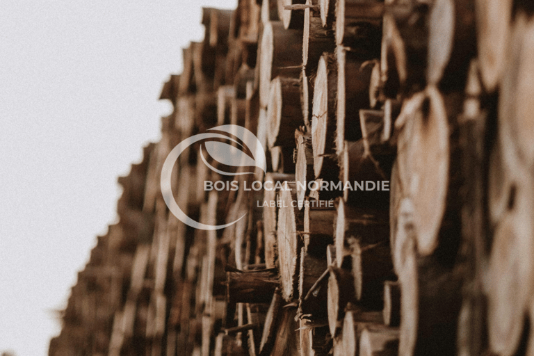 une pile de bûches empilées les unes sur les autres