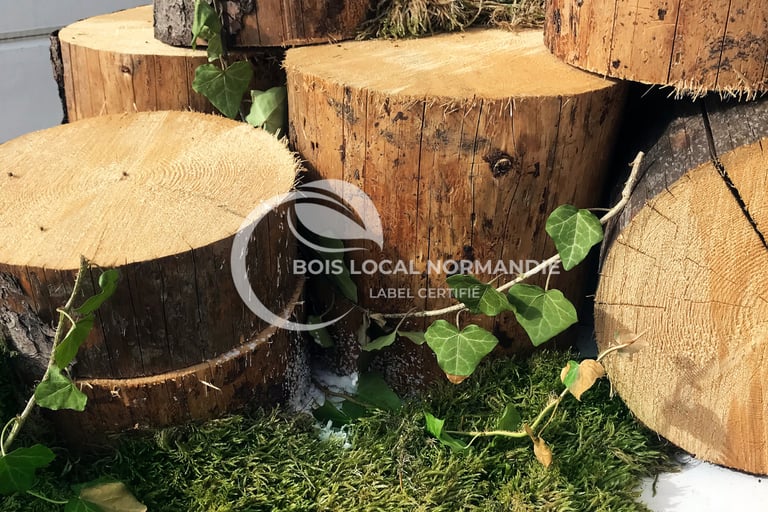 des gros morceaux de bois