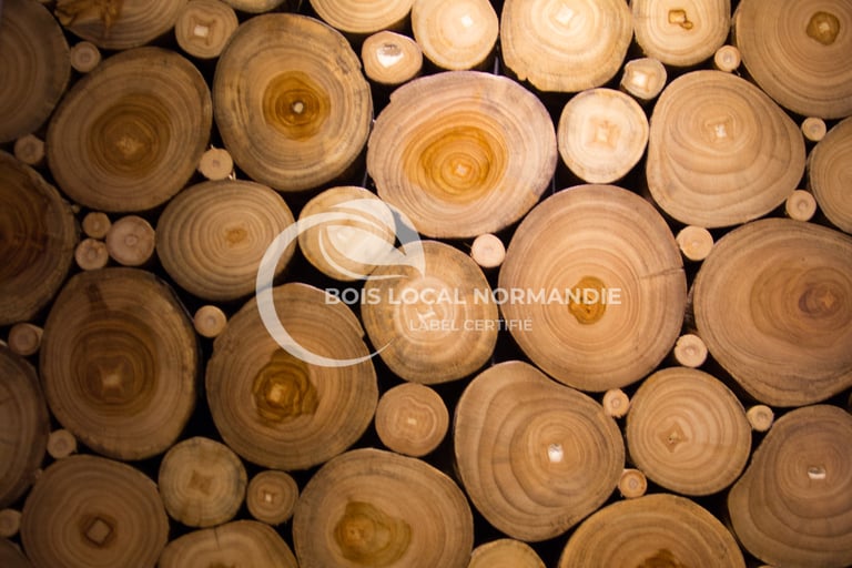 une vue en gros plan sur des bûches