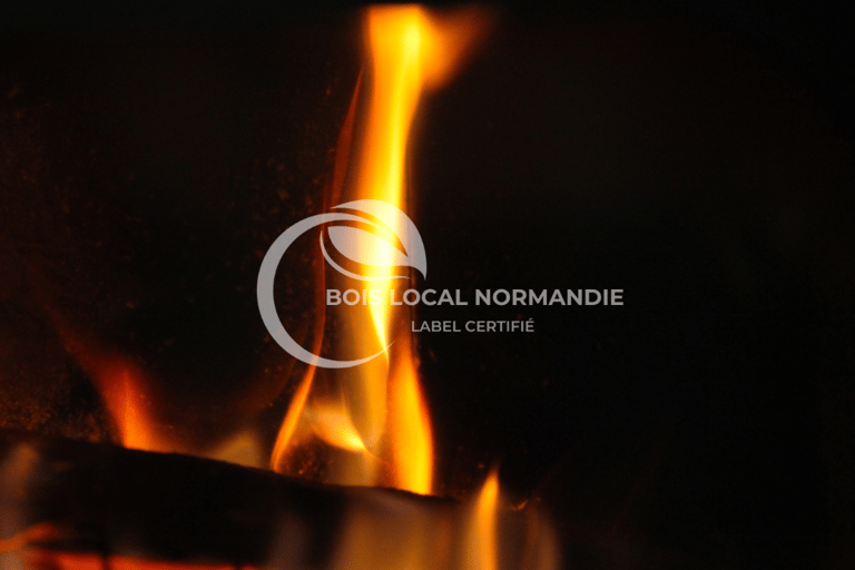une flamme en gros plan