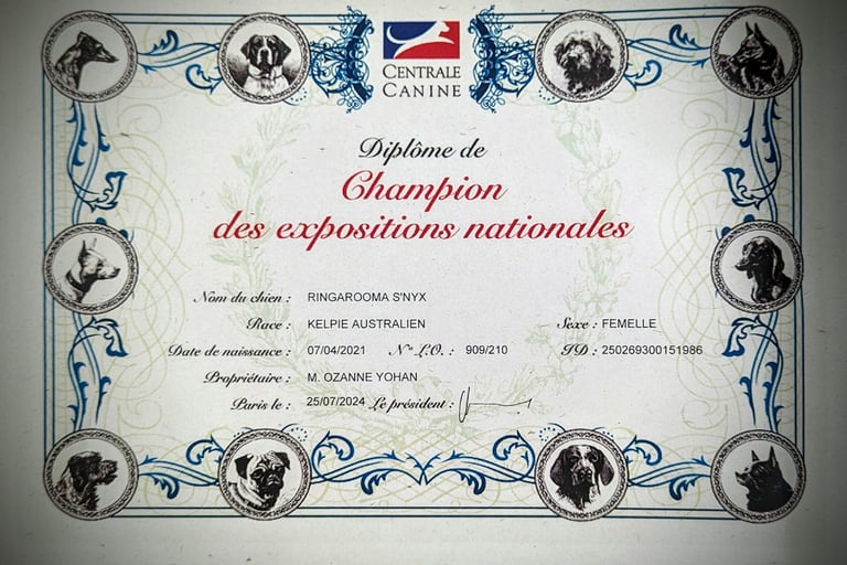 Ringarooma S'nyx championne des expositions nationales
