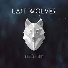 nettoyage de vitre pour professionnel plabennec