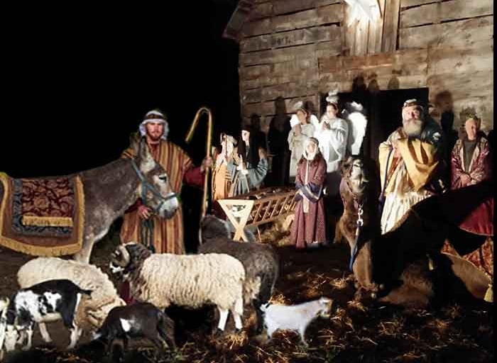 live Nativity with animals