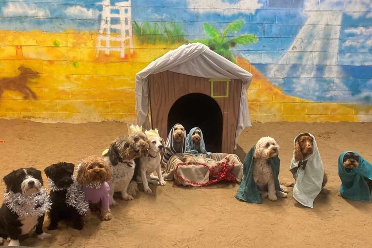 dogs in a Nativity scene