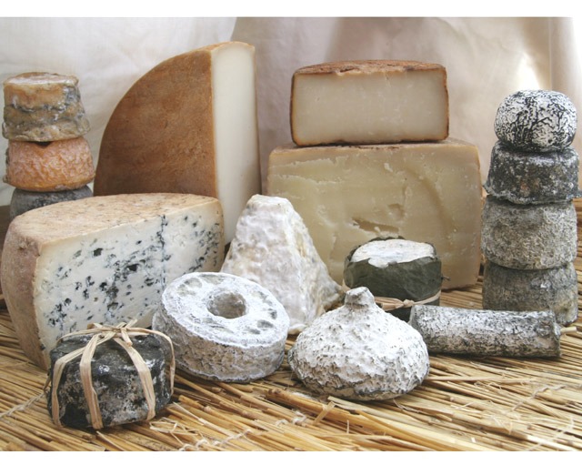 Goat's milk cheese
