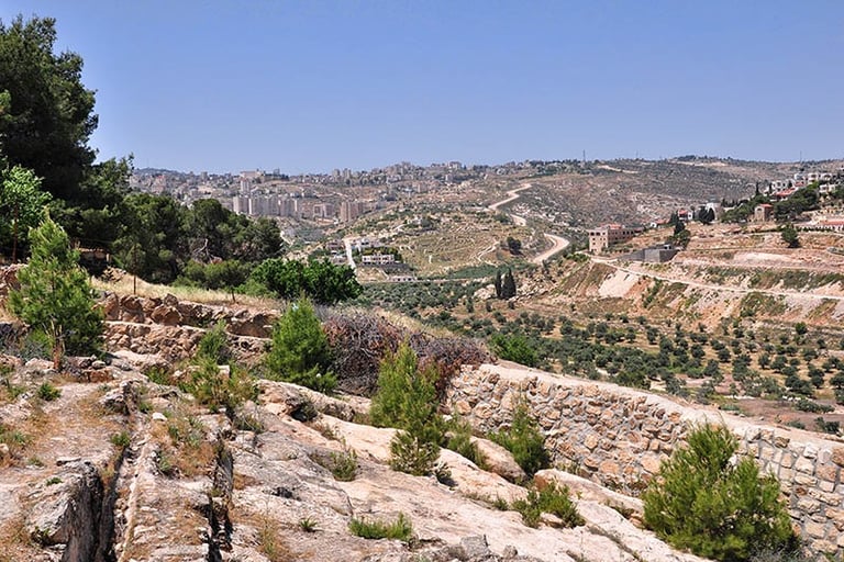 Shepherd's Fields today