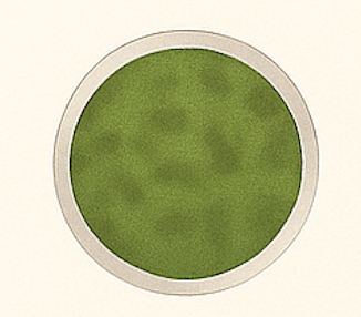 Chlamydia Petrie dish illustration