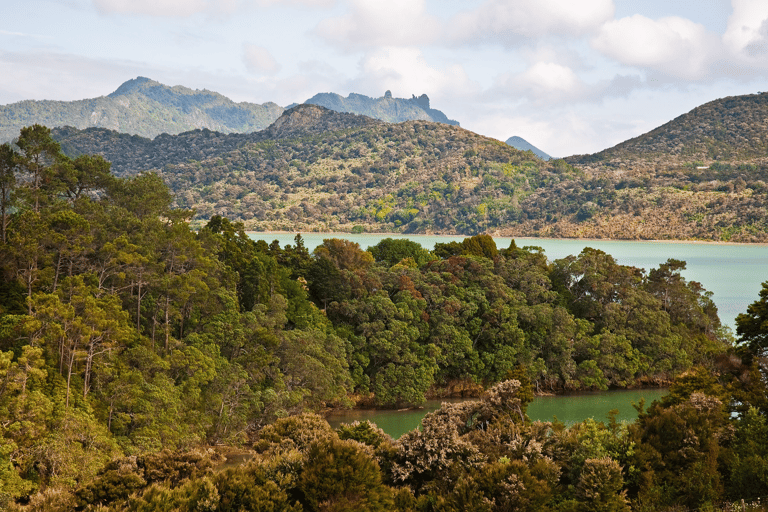 Phillip Capper from Wellington, New Zealand - Parua Bay, Northland, New Zealand, 4th. Dec. 2010