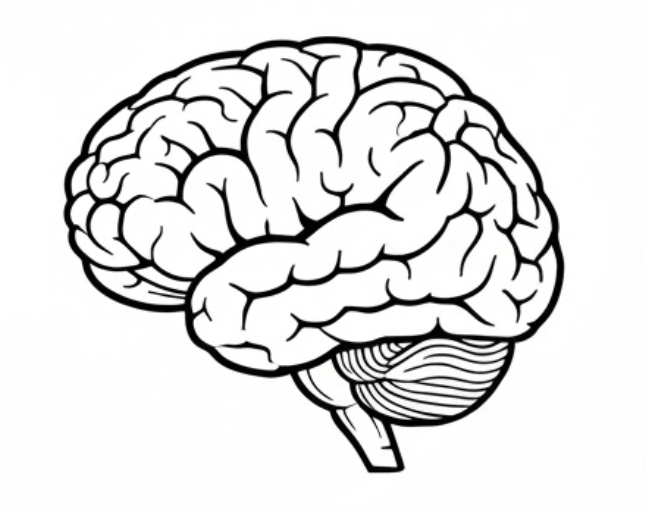 black and white brain image