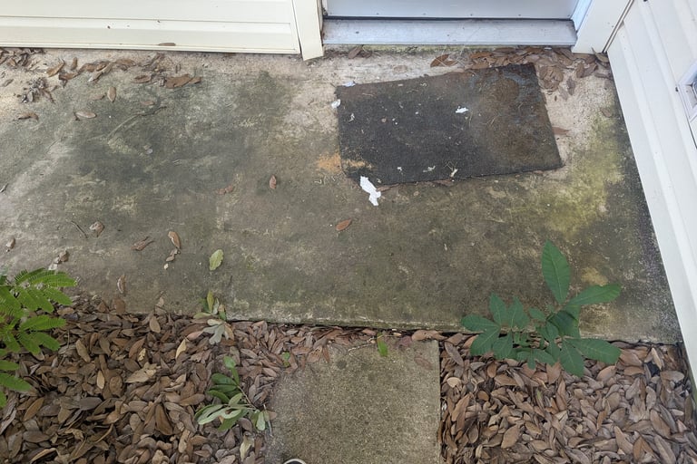 Before picture of a porch with mold and algae that needs cleaned. 