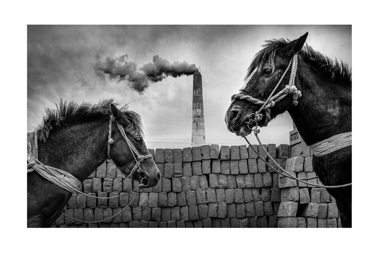 Sujan Sarkar photography 47