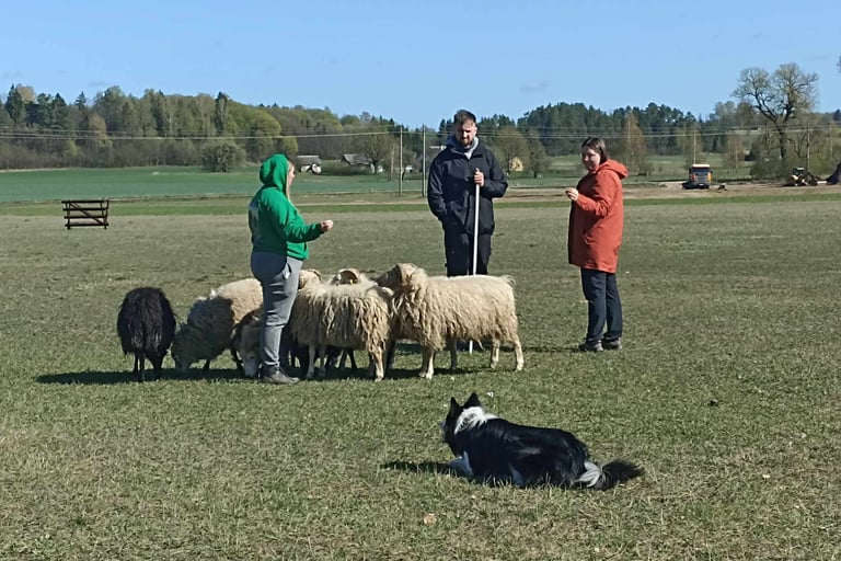 farm educational programs