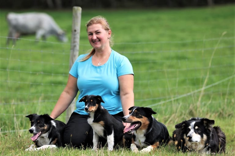 Dog hotel Birstonas