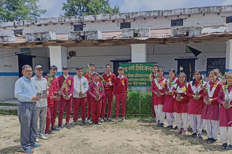 Plantation NGO