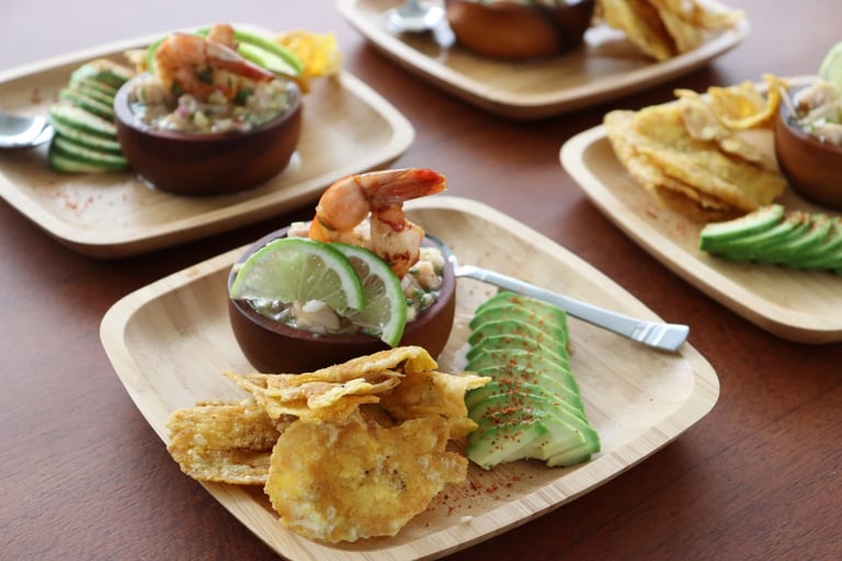 Fresh Costa Rican ceviche with plantain chips served during luxury catamaran tour in Guanacaste