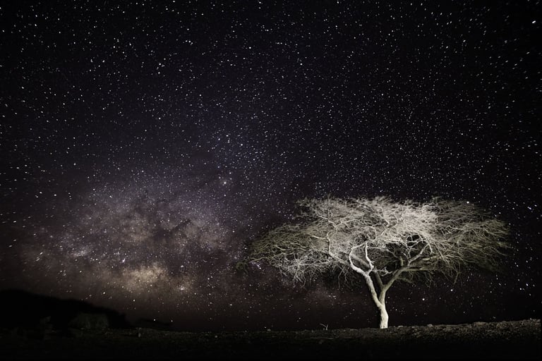 Nightscape, Voie Lactée, Milky Way, Via Lattea, Paysage Etoilé, Starry Landscape, Paesaggio stellato