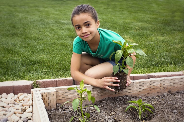 A young girl planting a vegetable seedling in a raised garden bed in a backyard.