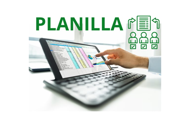 computadora mostrando la estructura de planilla de un edificio